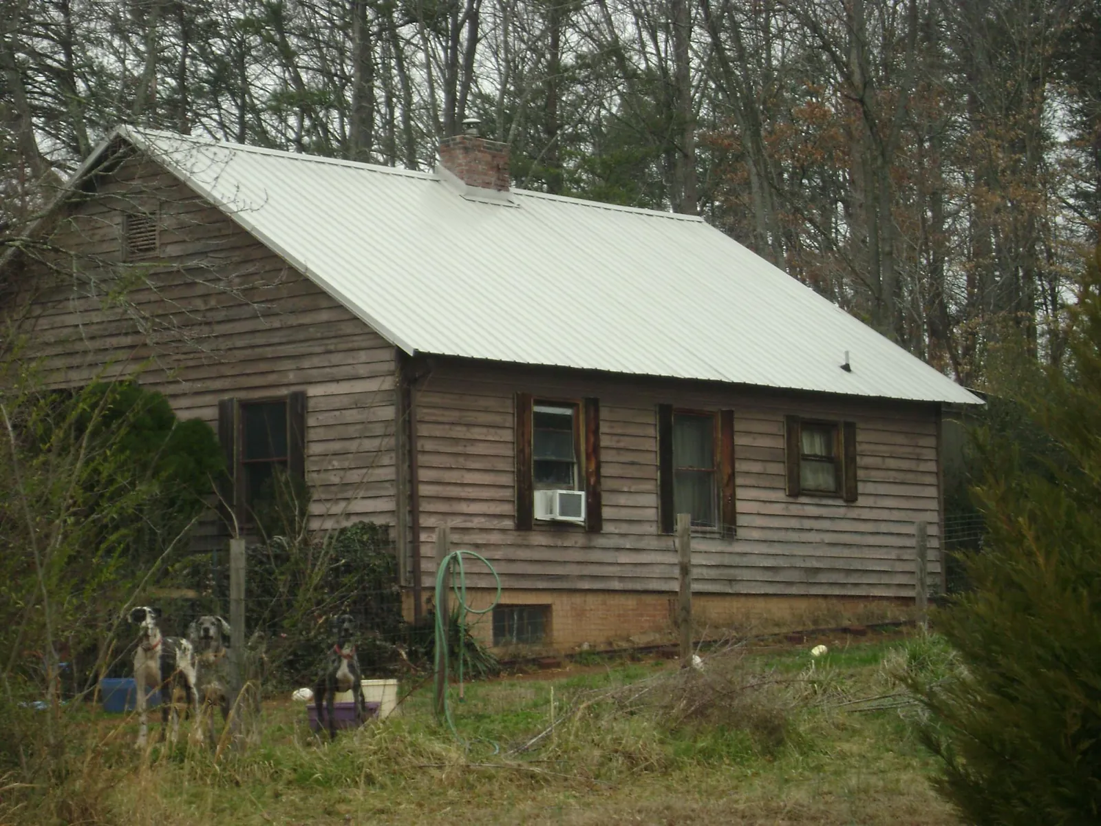 White metal roof on an old wood sided farmhouse, from a Asphalt Shingle Roof Repair job in Dutch Flat